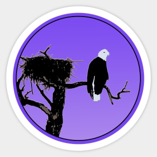 Bald Eagle at Sunset Sticker